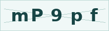 Security verification code