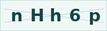 Security verification code