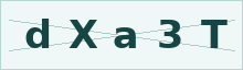 Security verification code