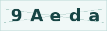 Security verification code