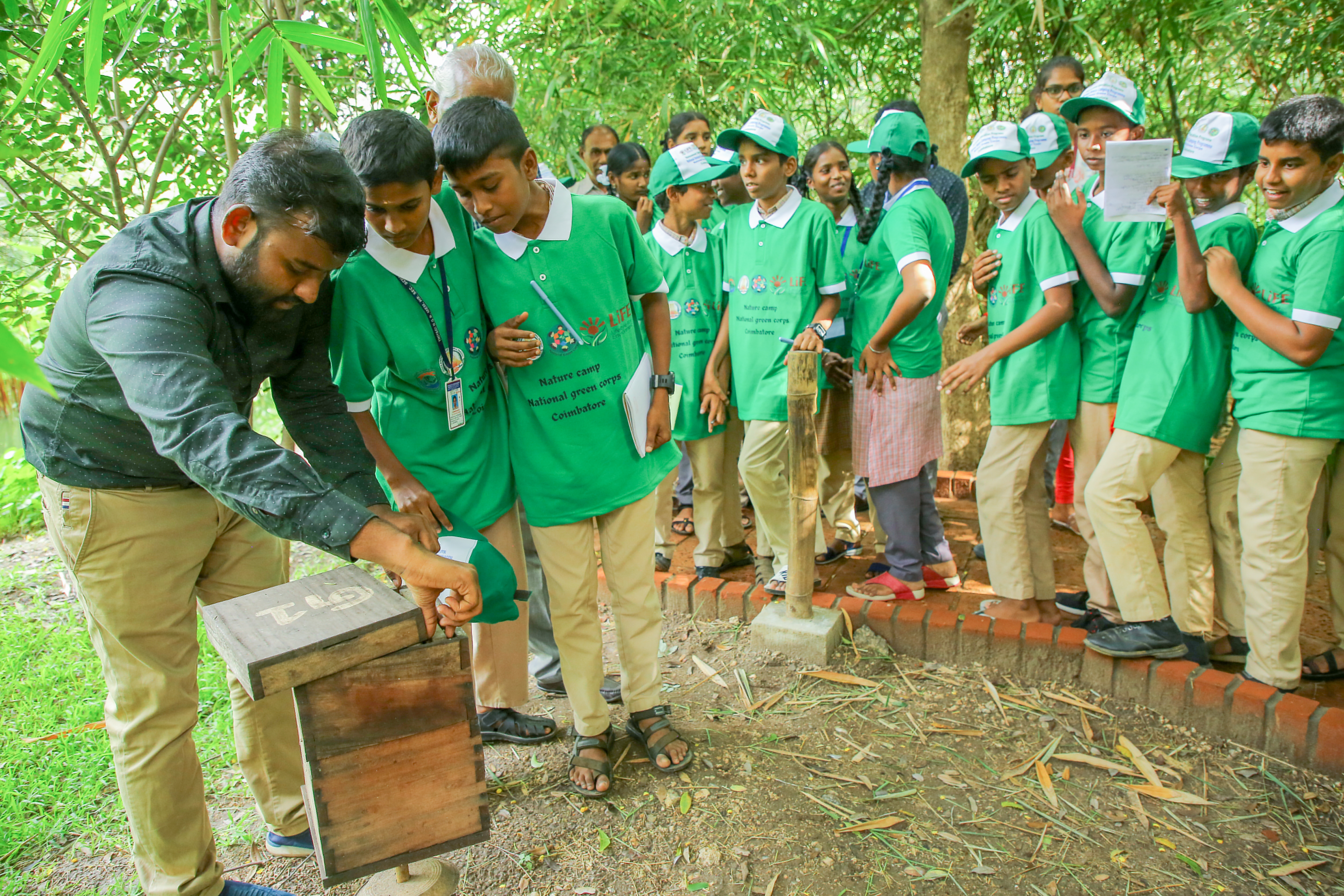 Tree plantation activity